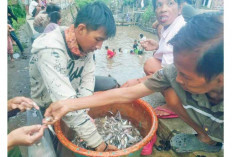 Ikan Mudik, Warga Keluarkan Jala