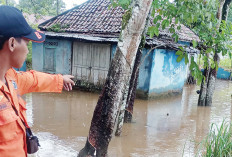 Warga OKU Timur dan OKI yang Mengungsi Mulai Kembali, Giliran Ujan Mas dan Paiker Dilanda Banjir