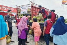 Meski Kuota Turun 7 Persen, tapi LPG 3 kg di OKU Timur Masih Aman