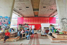 Prioritas Tata Taman dan Reklame, Demi Estetika Kota Palembang