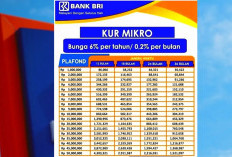 KUR BRI Maret 2026 Resmi Dibuka, Pinjaman Hingga Rp100 Juta Tanpa Jaminan