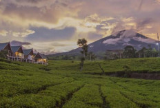 Dimediasi Gubernur, Desa Wisata Gunung Dempo Kembali Beroperasi