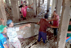 Terdampar, Ikan Paus Seberat 2 Ton Akhirnya Mati