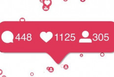 Cara Agar Dapat Banyak Like dan Followers di TikTok