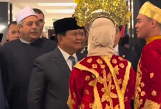 Rahman Ilyansyah, Putra Prabumulih, Sambut Presiden Prabowo di Kairo dengan Antusias dan Kebanggaan