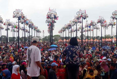 Nantikan, Panjat Pinang 79 Batang, Event Sumatera Ekspres Sambut HUT Kemerdekaan RI