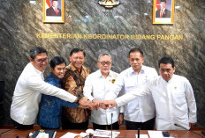 Wamenkop: Pembentukan Kopdes/ Kel Merah Putih Terus Melaju, Satgas Siapkan Koperasi Percontohan