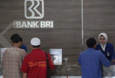 Panduan Lengkap Pengajuan KUR BRI 2025 Siapa Saja yang Bisa Mengajukan?