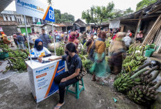 Dirgahayu RI ke-79 Komitmen PT Bank Rakyat Indonesia dalam Membangun Negeri