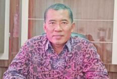 Belum Lolos PPPK, 4.257 Honorer di OKU Timur Masih Diperjuangkan