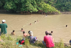 Tragedi di Sungai Macak, Pemuda Tenggelam dalam Pencarian Ikan