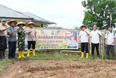 Tanam Jagung dan Cabai Perkarangan Mapolsek, Wujudkan Ketahanan Pangan 