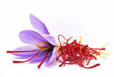 Wajib Tau, Ini Manfaat Luar Biasa Saffron untuk Kecantikan Kulit