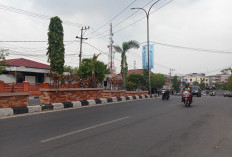 RI 1 Batal ke Kota Nanas ? Masyarakat Kecele Urung Jumpa Jokowi