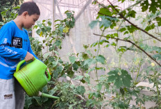 Giyatsa Widan Pratama, Bocah Prabumulih yang Gemar Berkebun dan Cintai Lingkungan