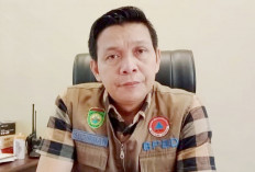 Hotspot Meningkat 7 Daerah Siaga Karhutla, Sumsel Hadapi Ancaman Asap