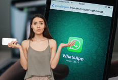 Daftar Smartphone yang Tak Lagi Kompatibel dengan WhatsApp di 2024, Ada Punyamu?