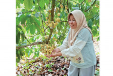 Panen Duku, Ekonomi Warga Menggeliat