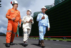 RUPTL Berpotensi Tawarkan 91 Persen Green Jobs, Dari Sektor Pembangkit Listrik