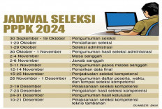 Resmi, BKN Keluarkan Jadwal Seleksi Pengadaan PPPK 2024, Catat Waktunya