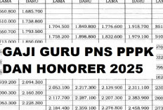 Bocoran Gaji Guru Tahun 2025, Berlaku Bagi PNS PPPK dan Honorer, Benarkah Bakal Naik di Era Prabowo Gibran?
