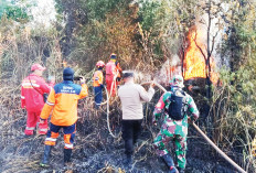 4 Jam Berjibaku Padamkan Api, Karhutla di Ogan Ilir Hanguskan Lahan 1 Hektare 