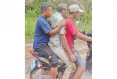 Dua Warga Air Sugihan Diserang Gajah Liar hingga Luka, Satu Dirujuk ke RS Charitas 