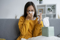 Influenza Misterius Belum Menyentuh OKI, Tenyata Ini Rahasianya