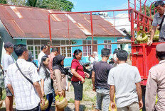 Foto dan Laporkan Penyelewengan LPG 3 Kg, Awasi Ketat Distribusi Gas Melon di Lahat