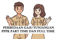 Inilah Perbedaan Gaji PPPK Part Time dengan PPPK Full Time