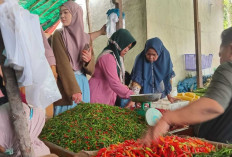 Pasca Pemilu dan Jelang Ramadan, Harga Beras dan Cabai di Pasar Inpres Martapura Naik