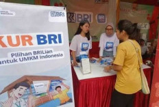 KUR Kecil BRI: Pinjaman Hingga Rp500 Juta, Cocok untuk Usaha yang Mau Naik Kelas