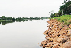 15 Bonus 1, Dibuka Pendaftaran Online Lomba Mancing Sumeks 2 Ton Ikan Patin di Danau JSC Palembang