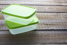 Mengapa Tupperware Alami Kebangkrutan? Ini 4 Penyebab Utamanya!