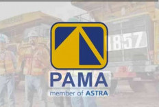 Lowongan PAMA 2026 Dibuka! Fresh Graduate Langsung Masuk Dunia Tambang, Ini Posisi dan Syaratnya