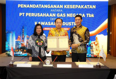 Kolaborasi PGN dan PIS Pastikan Ketersediaan Gas Bumi untuk Penuhi Kebutuhan Industri