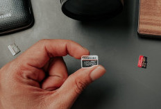 7 Rekomendasi MicroSD Tercepat untuk Smartphone Android, Penyimpanan Eksternal Dijamin Lancar Jaya!