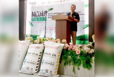 Banyak Tanah ’Sakit’, Produktivitas Pangan Di Bawah Standar, Pupuk Indonesia Siapkan Mobil Uji Tanah Gratis
