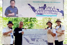 Dukung Relawan Bakti BUMN ke Samboja dan IKN, Rehabilitasi Orangutan dan Mangrove
