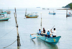 Bantu Nelayan Babel Pangkas Biaya Operasional Melaut, Lewat Program Electrifying Marine PLN