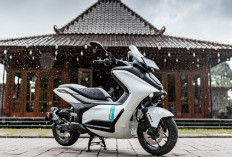 5 Motor Listrik Buatan Indonesia yang Masuk Subsidi dan Layak Dibeli 2025, Solusi Hemat untuk Aktivitas Harian