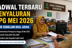 Pengumuman: Tunjangan Sertifikasi Mei Cair Sebelum Idul Adha, Ini Tanggal dan Mekanismenya