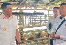 Panen Budidaya Ayam Petelur, Lapas Kayuagung Dukung Asta Cita dan GSMP