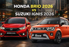 Honda Brio 2026 vs Suzuki Ignis 2026, Duel City Car Paling Dicari, Pilih Sporty Irit atau Urban SUV Kekinian?