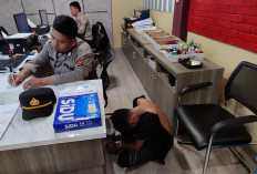 Pemuda 19 Tahun Ditangkap atas Dugaan Cabuli Siswi Kelas 6 SD