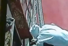 Pembobol Kotak Amal Masjid Masuk Lewat Pintu Belakang CCTV Rekam Gerak Geriknya dengan Jelas