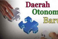 Rencana DOB Hilang Begitu saja, Komisi I DPRD Sumsel Sebut Sudah Lama Macet di Pusat