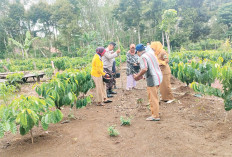 Semai Ketahanan Pangan Bersama Petani