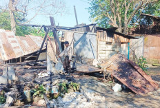 Cucu Pemilik Rumah Diselamatkan Tetangga, Kebakaran Hanguskan Rumah di Lr Pelita Sako