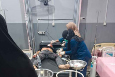 Tabrak Truk Mogok, Dion Luber